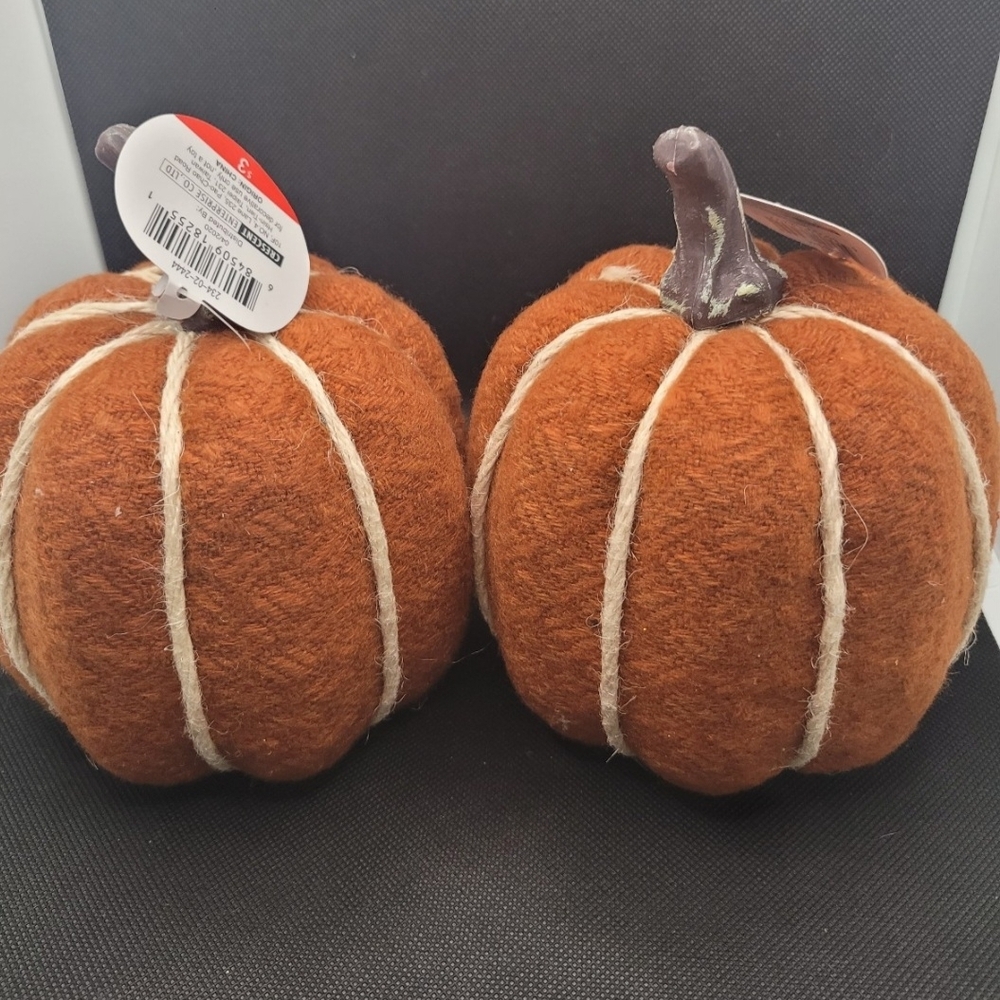 Set of 2  Pumpkin Decor Rust Orange Farmhouse Fall Decor